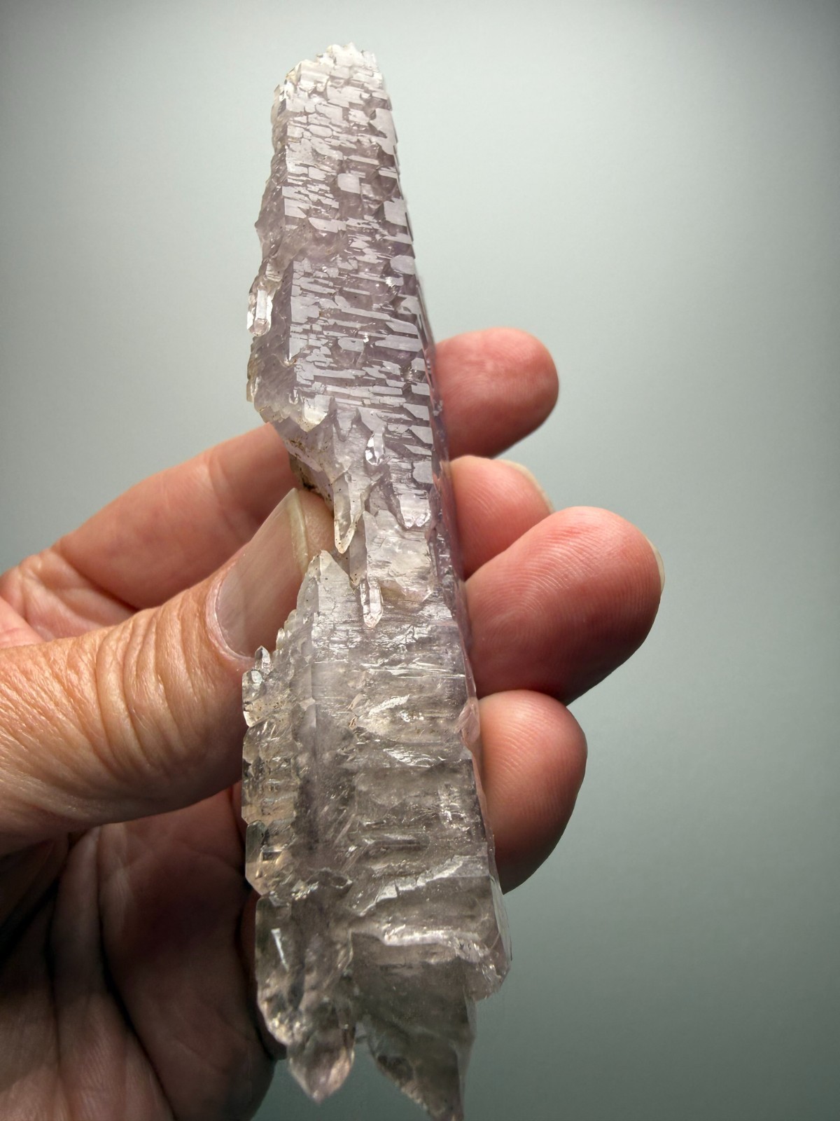 AMAZING Jacare Amethyst- Buridan’s Mule Claim, New Mexico- RARE PIECE!