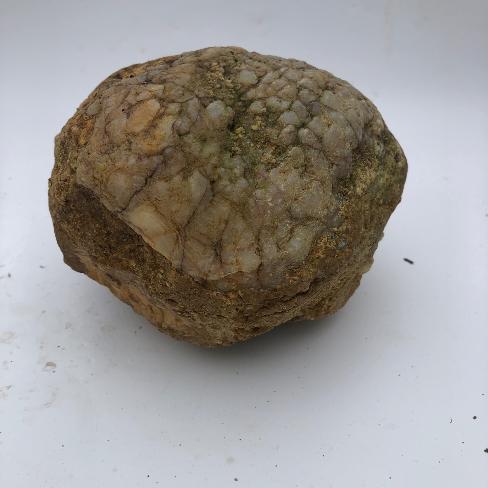 4 lb Unopened Kentucky Geode Rattler Break Your Own Hand Picked Natural Quartz