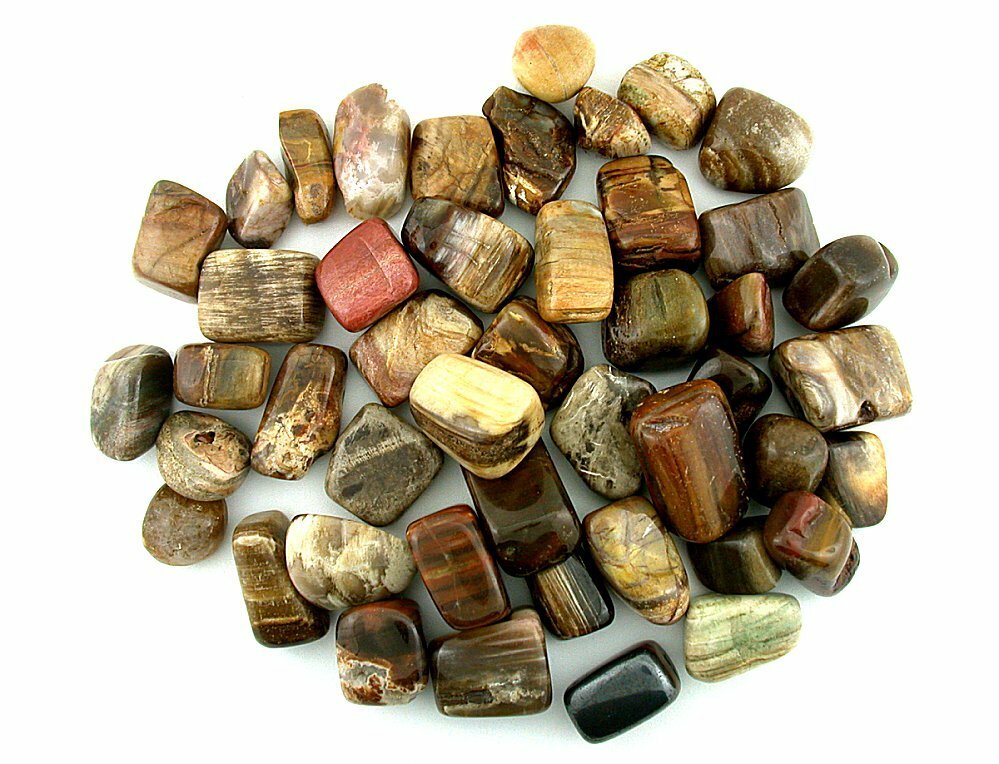 1/2 Pound Petrified Wood Tumble Polish Polished 1/2 To 9/10 Inch Gemstone T11