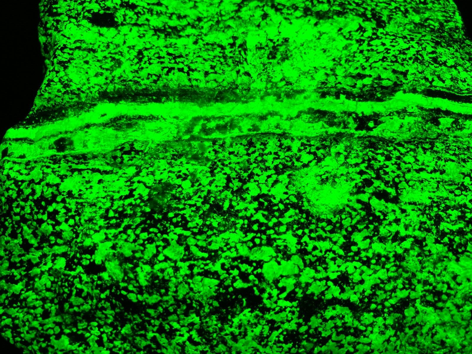 A101 Franklin NJ Fluorescent Willemite Vein 5.25×4.x2.5 in 6.23lb phosphorescent