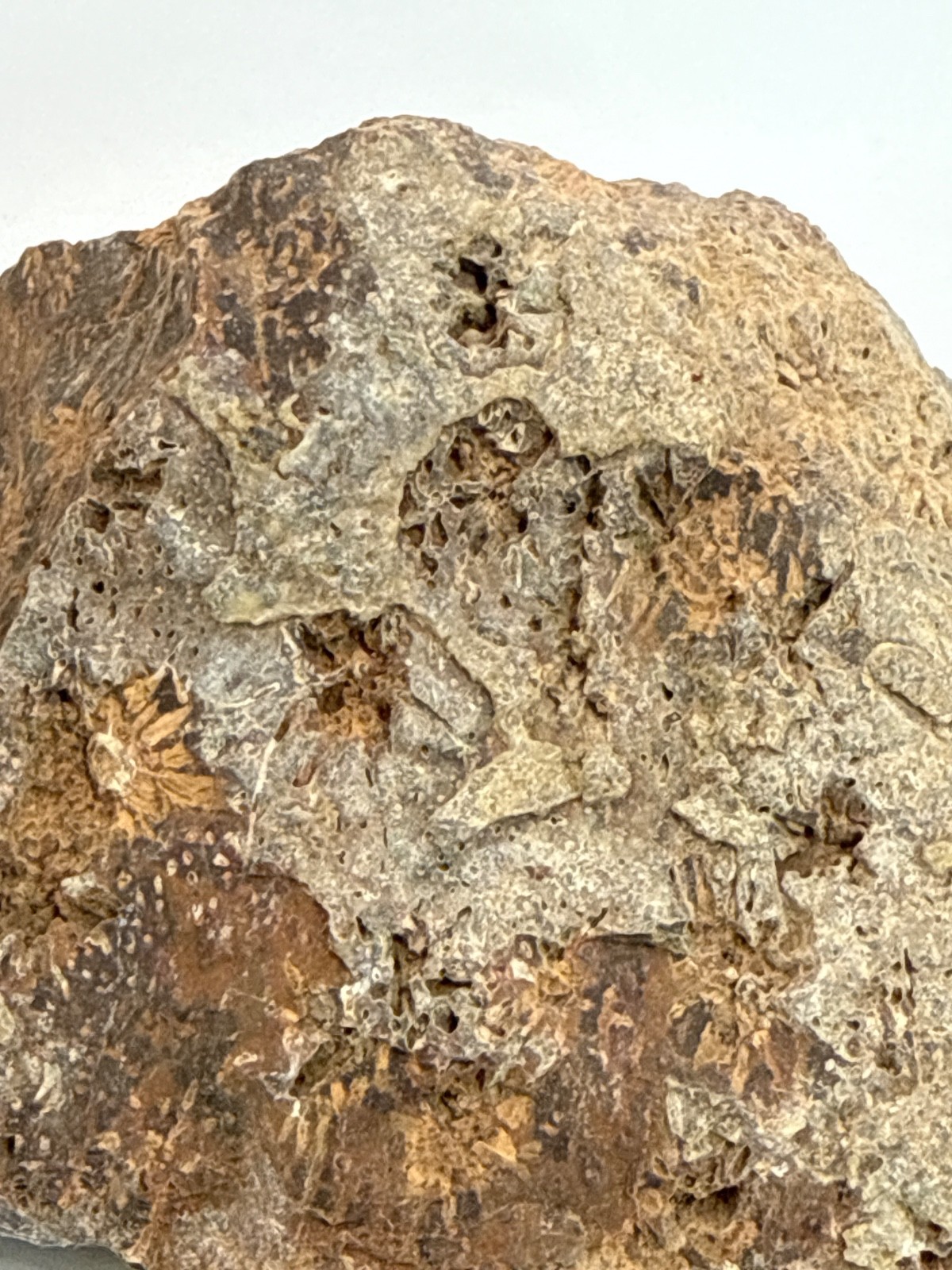 Beautiful Spider Jasper Chrysanthemum Specimen 529 Grams