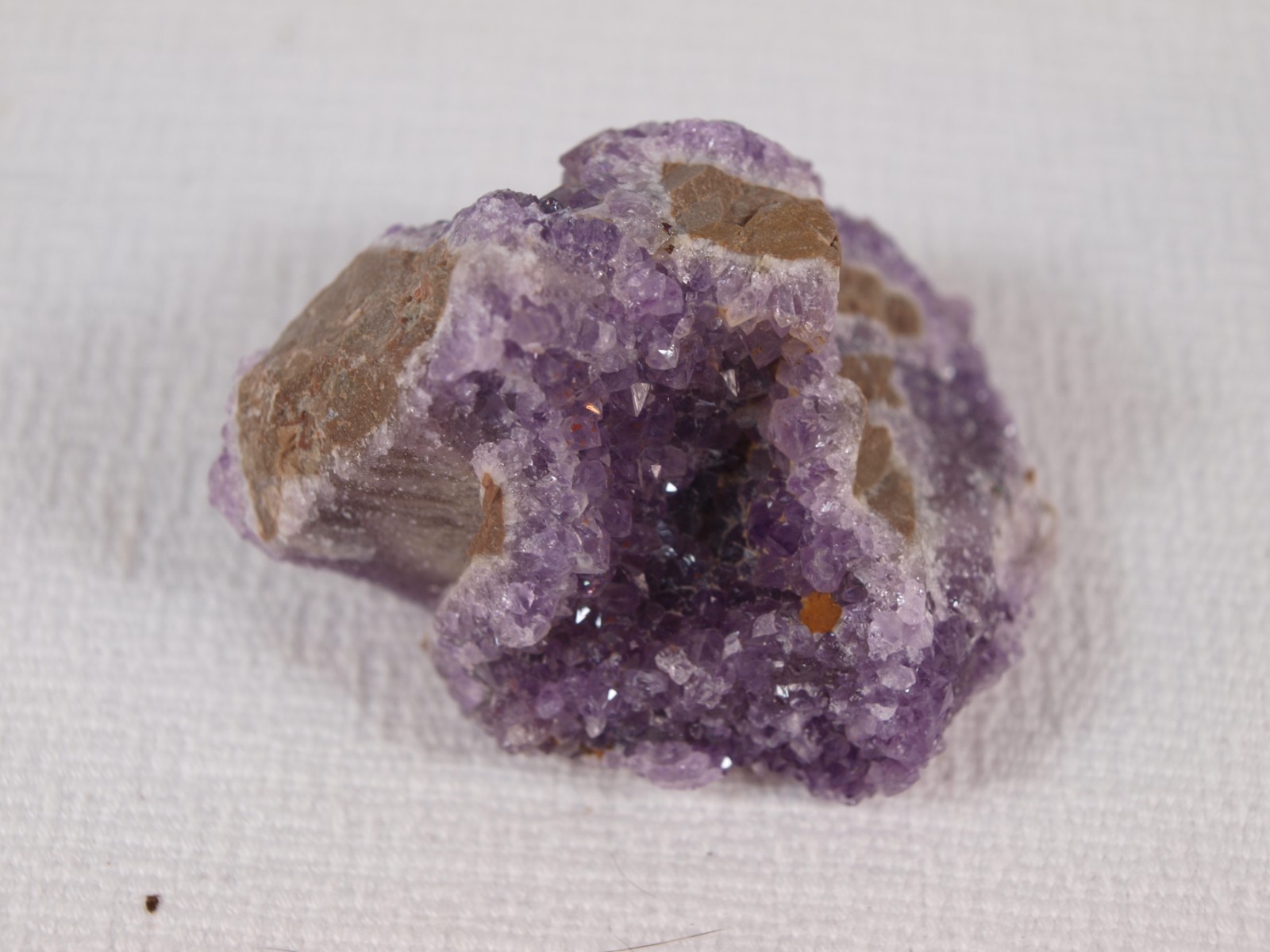 Thunder Bay Amethyst Crystal Pocket on Quartz – Self-Collected – 103.6 g