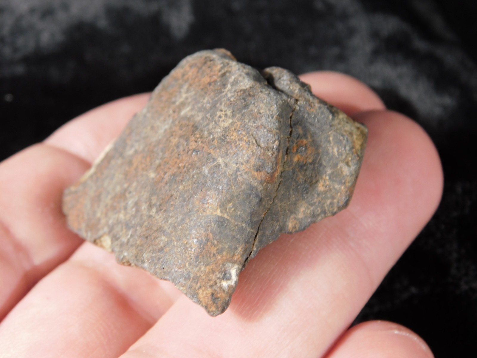 Stony METEORITE With Dark Fusion Crust 100% Natural Fell in Libya 42.2gr