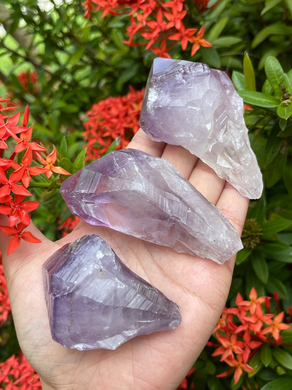 Extra Large Amethyst Rough Points, 2.5 – 3.25″ Raw Amethyst Points, Bulk Lot