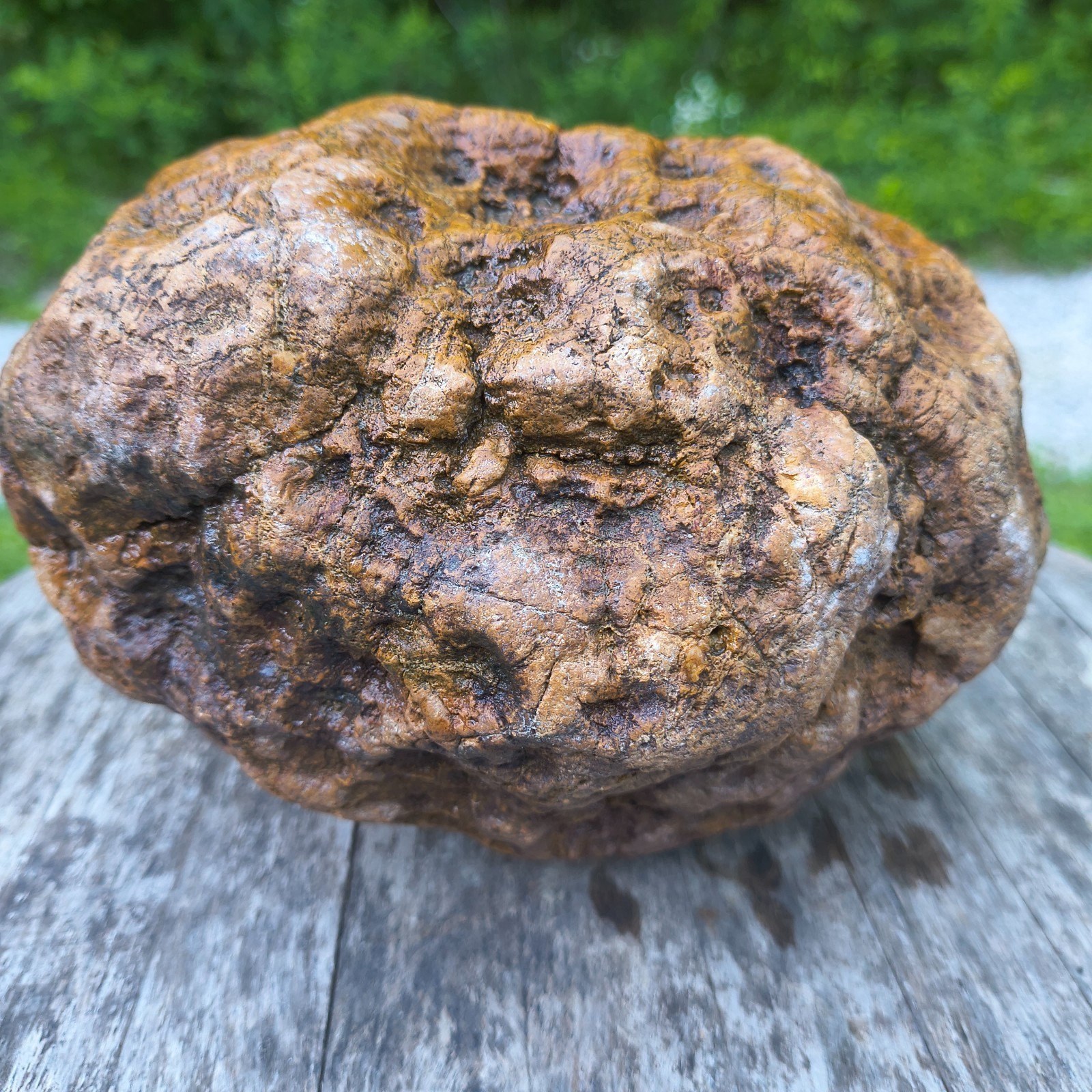 10.07b Kentucky Geode Unopened Natural Crystal Geode + Bonus