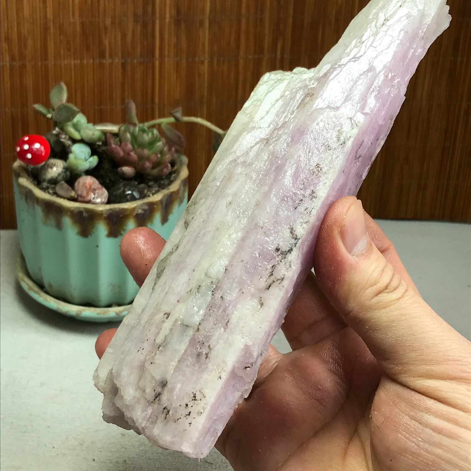 170-78-40mm NATURAL ROUGH KUNZITE PINK SPODUMENE CRYSTALS 830g A4613