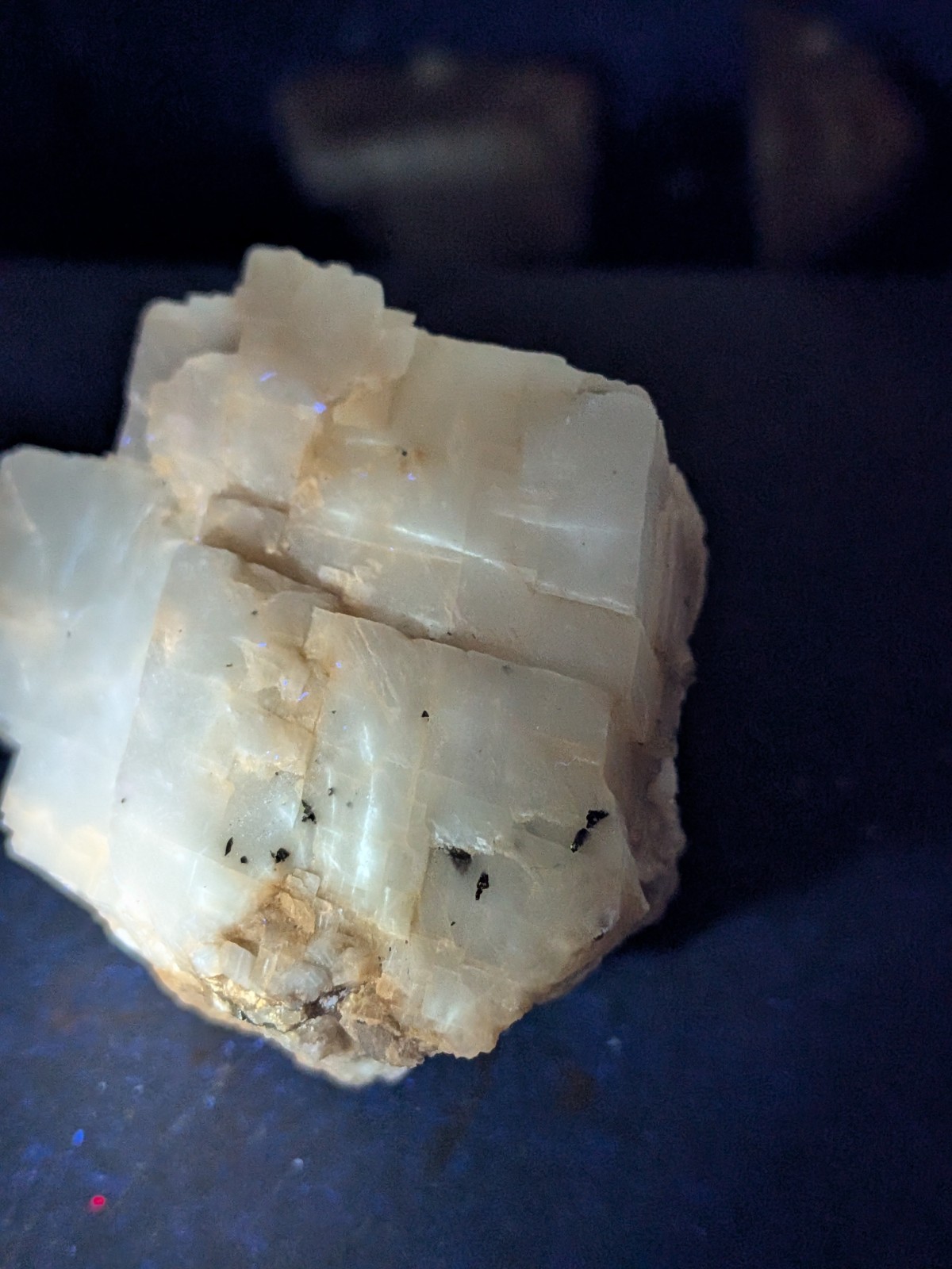 Calcite With Chalcopyrite And Fluorescent Bitumen And Fluorite, Kentucky