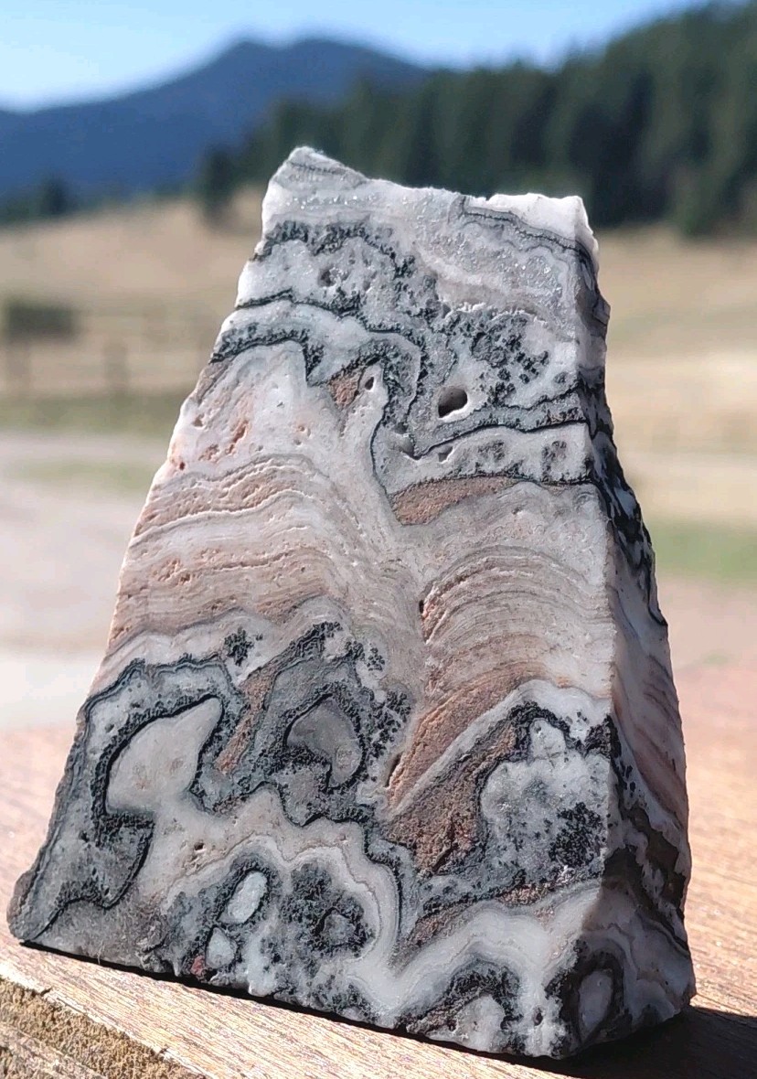 Zebra Calcite Self-Standing “Wedge” Dspl UV Psychedelic Wavey Band 3x 2 1/2″