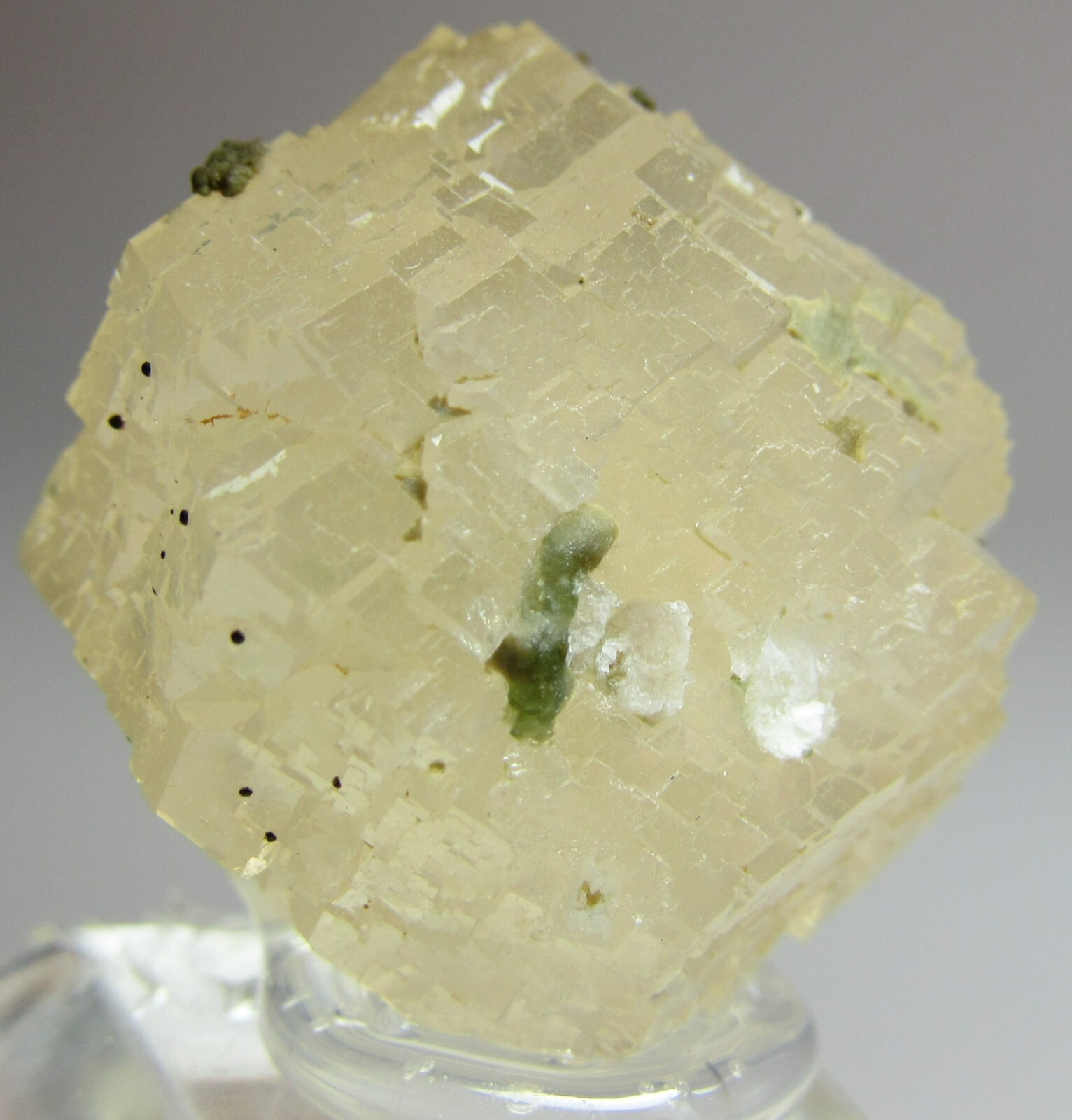 PHENOMENAL GEOMETRIC GLASSY GROSSULAR GARNET CRYSTAL!!! JEFFREY MINE CANADA