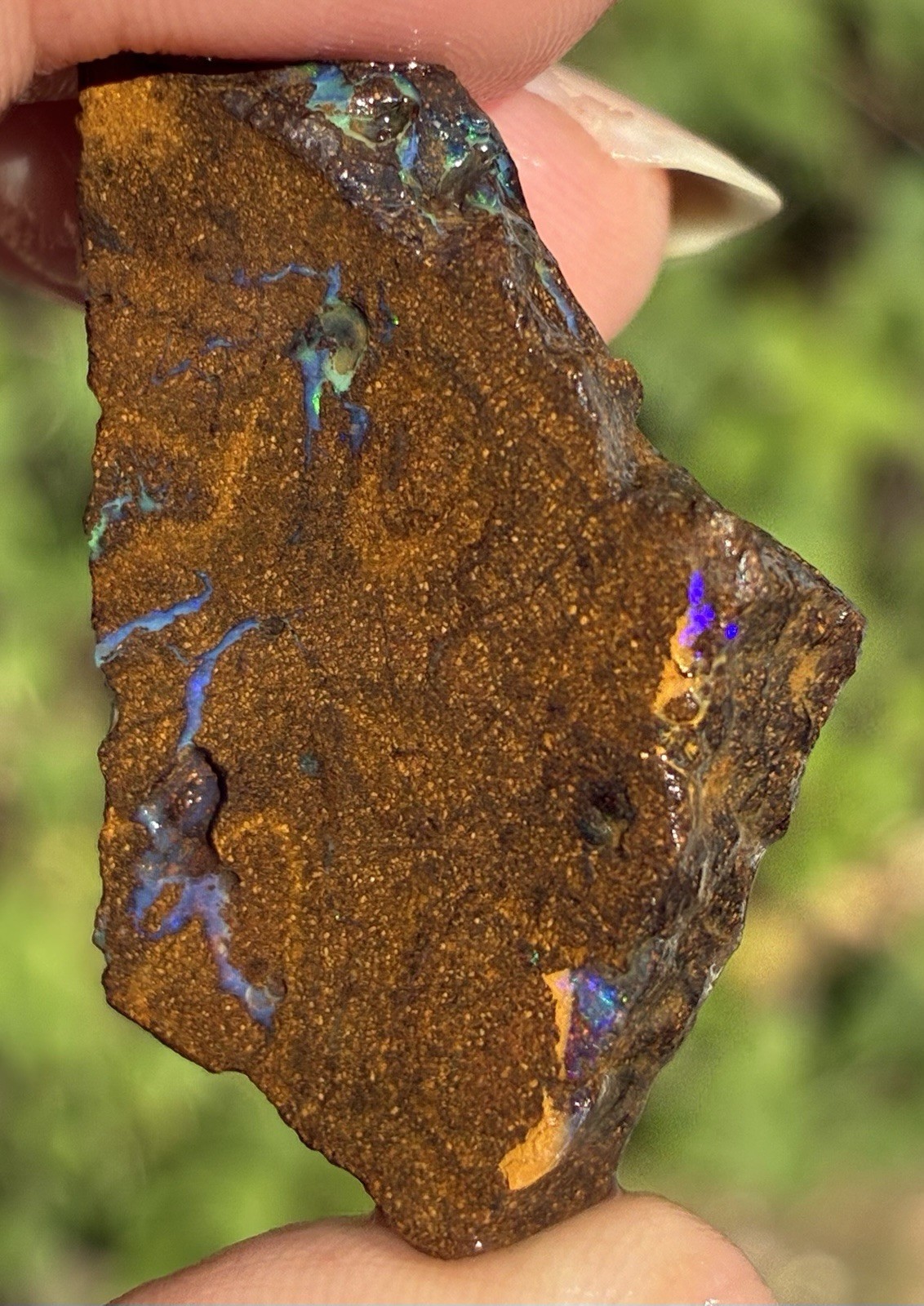 Pretty 47ct Australian Boulder Opal Rough Loose Multicolor Specimen PP