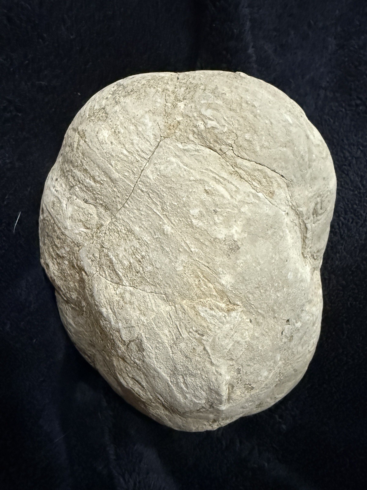 XL 5.5” Utah Septarian Nodule Geode Lightning Pattern UV Reactive Phosphorescent