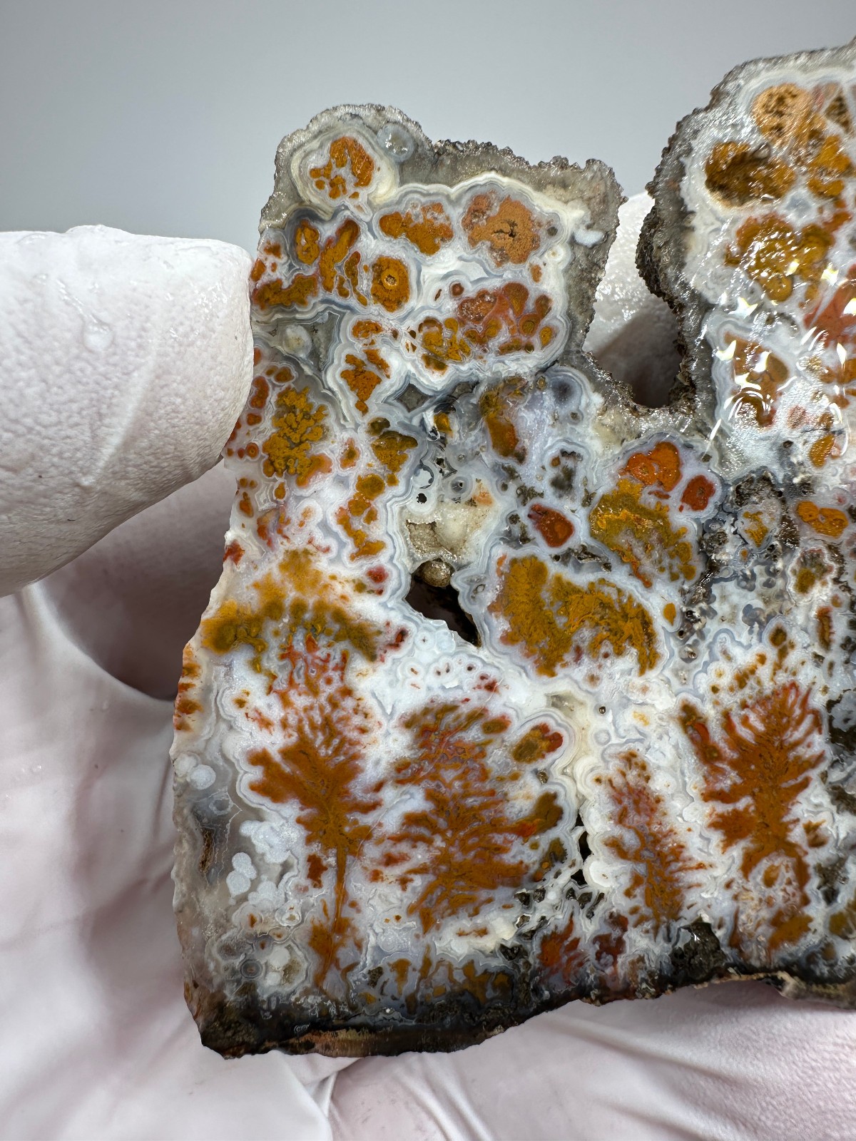 RARE Wingate Pass Plume Agate End-Cut Slab (a.k.a. Death Valley Plume)