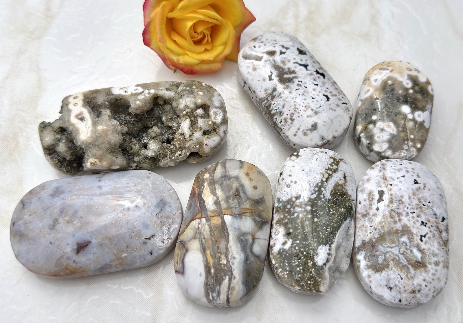 Wholesale Lot 1 Lb Natural Ocean Jasper Palm Stone Crystal Healing Energy.