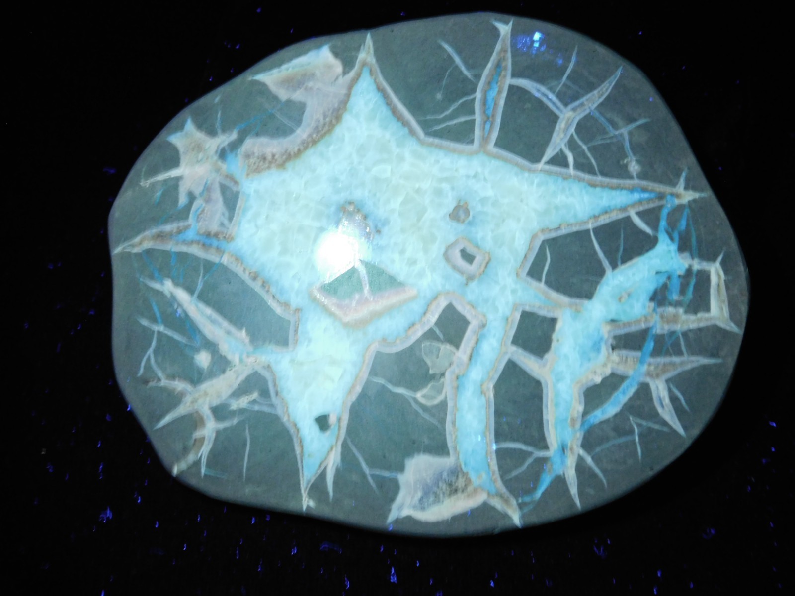 Polished FLUORESCENT SEPTARIAN Nodule Slice 100% Natural w/Stand 244gr
