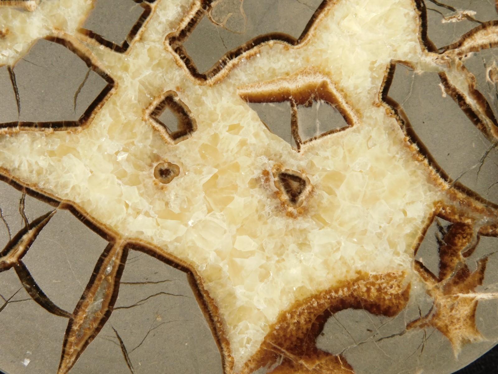 Polished FLUORESCENT SEPTARIAN Nodule Slice 100% Natural w/Stand 244gr