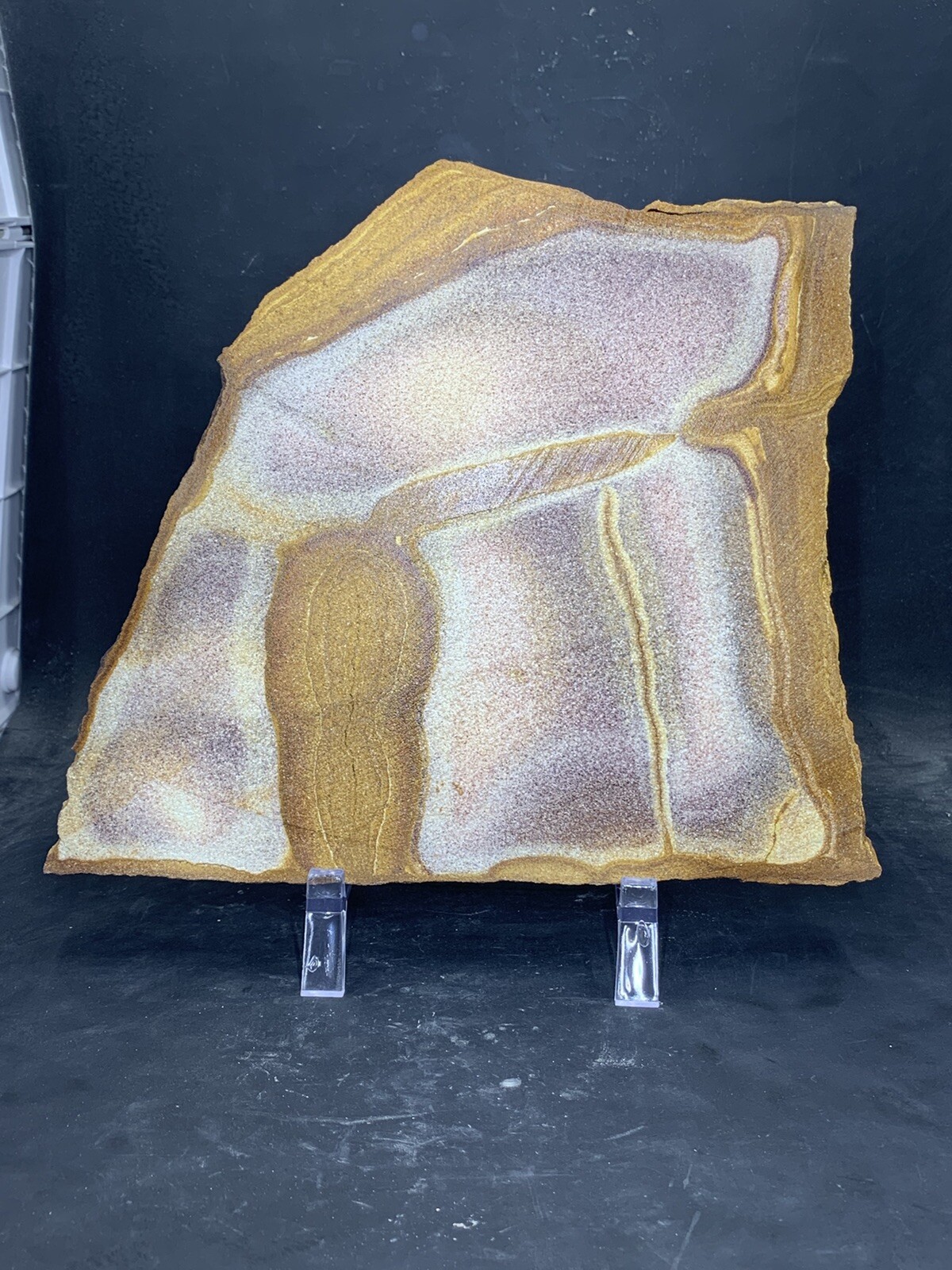 Picture Sandstone Display Slab ( Utah ) With Stand