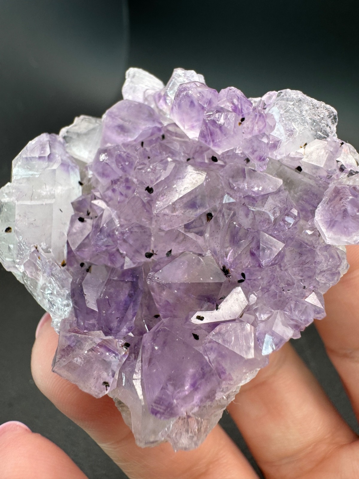 6857 Amethyst Cluster with Goethite Inclusions Brazil 60g