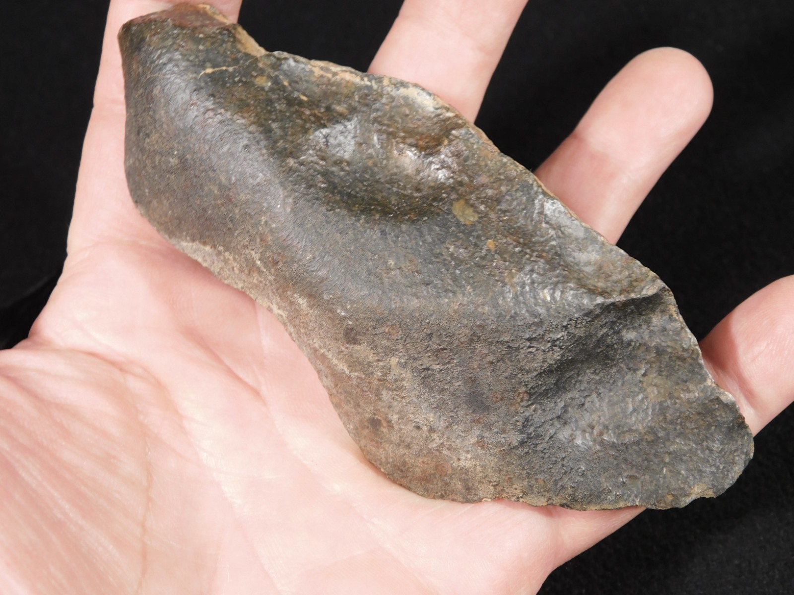 Classified NWA 8245 METEORITE Dark Crust and Regmaglypts! Erfoud, Morocco 298gr