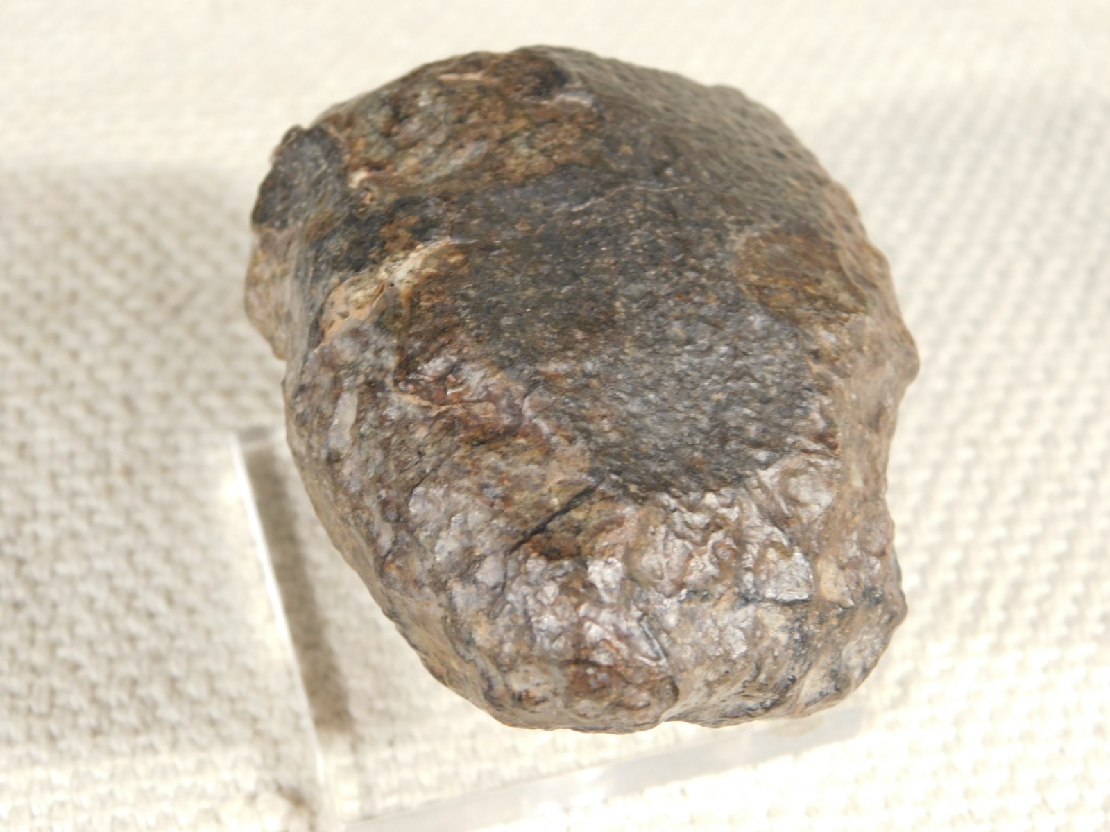 Larger N.W.A 869 Stony METEORITE with Dark Fusion Crust 197gr