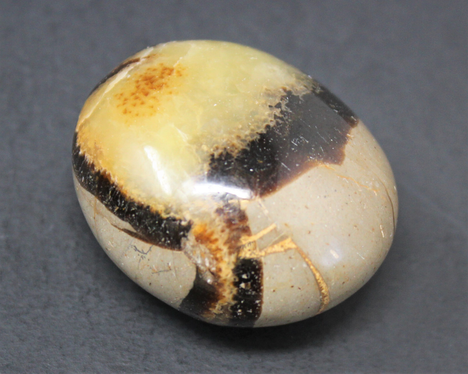 Septarian Hand Polished Palm Stones: ‘A’ Grade Wholesale Bulk Lot
