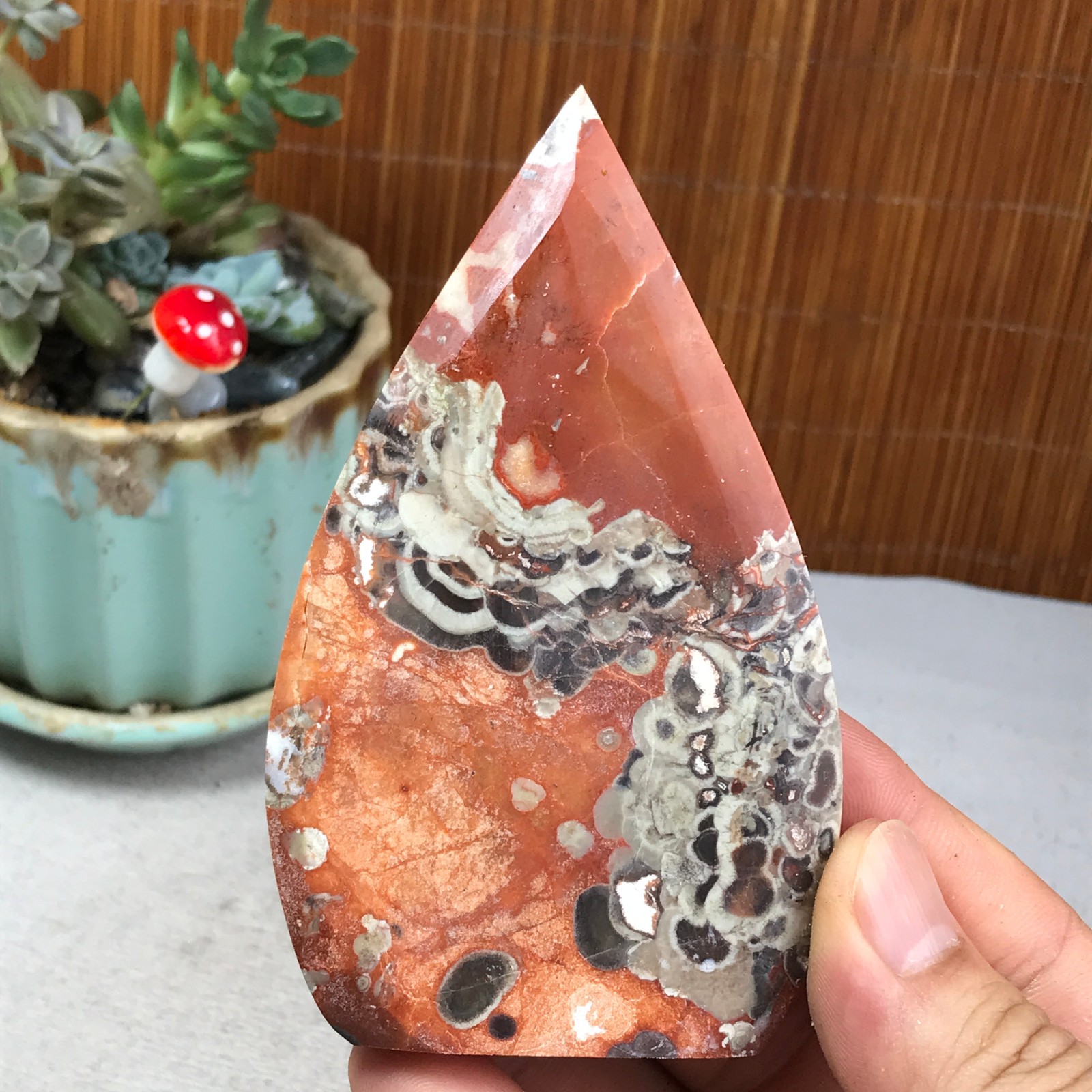Natural money Mexico agate hand carve leaf Crystal Specimen free standing A6261