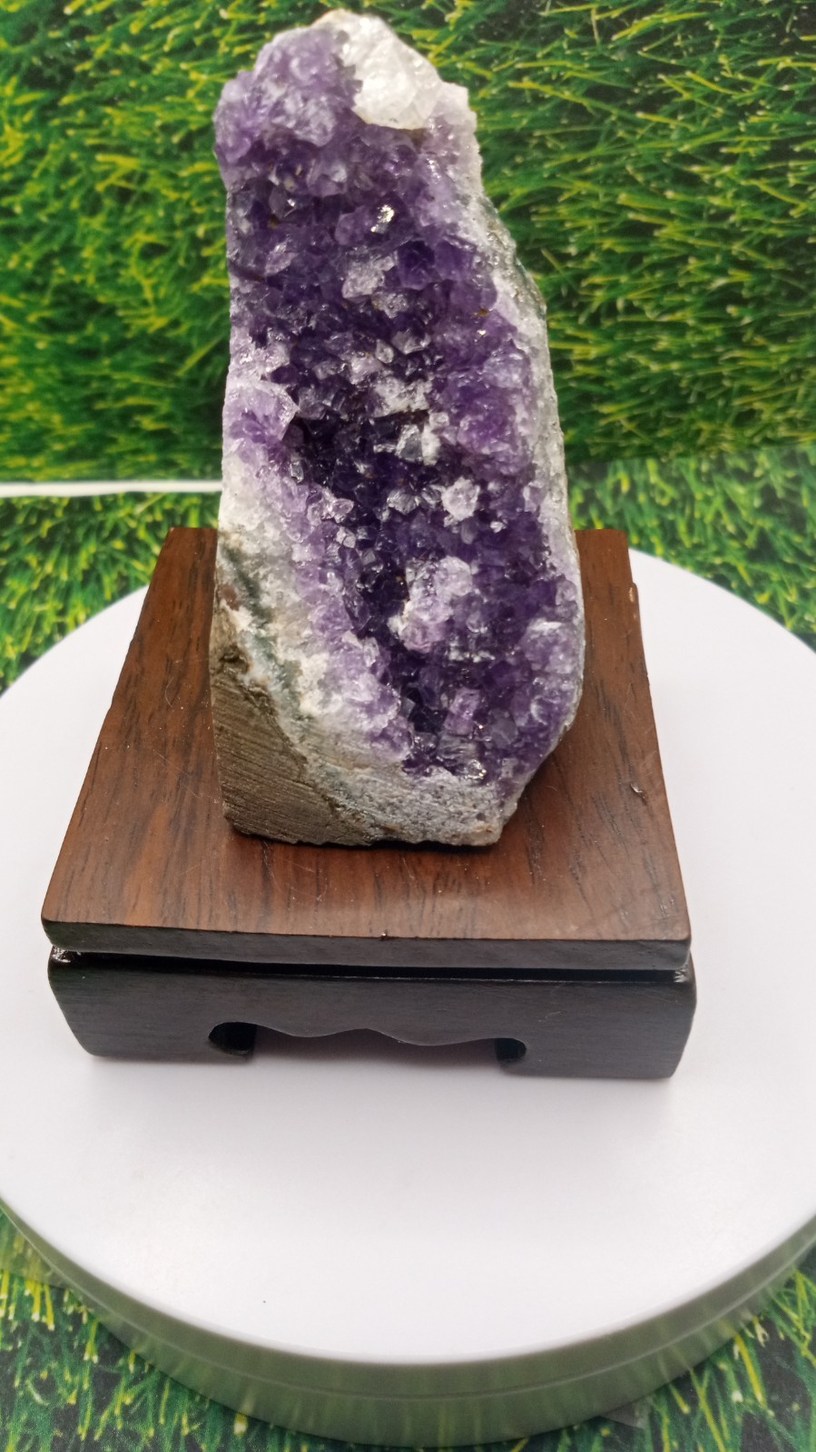 Beautiful Amethyst from Uruguay on Cherry Wood Stand ~