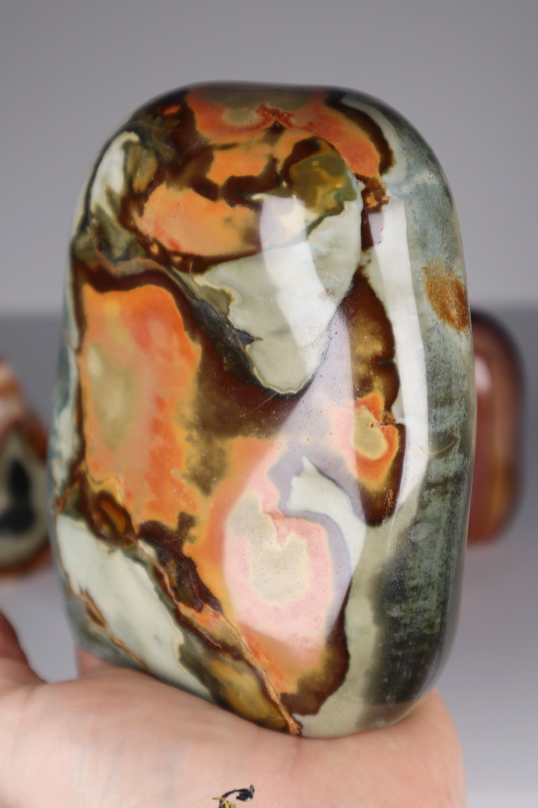 3.3kg POLYCHROME JASPER Freeforms Flames Palm Stones Crystal Collection bundle
