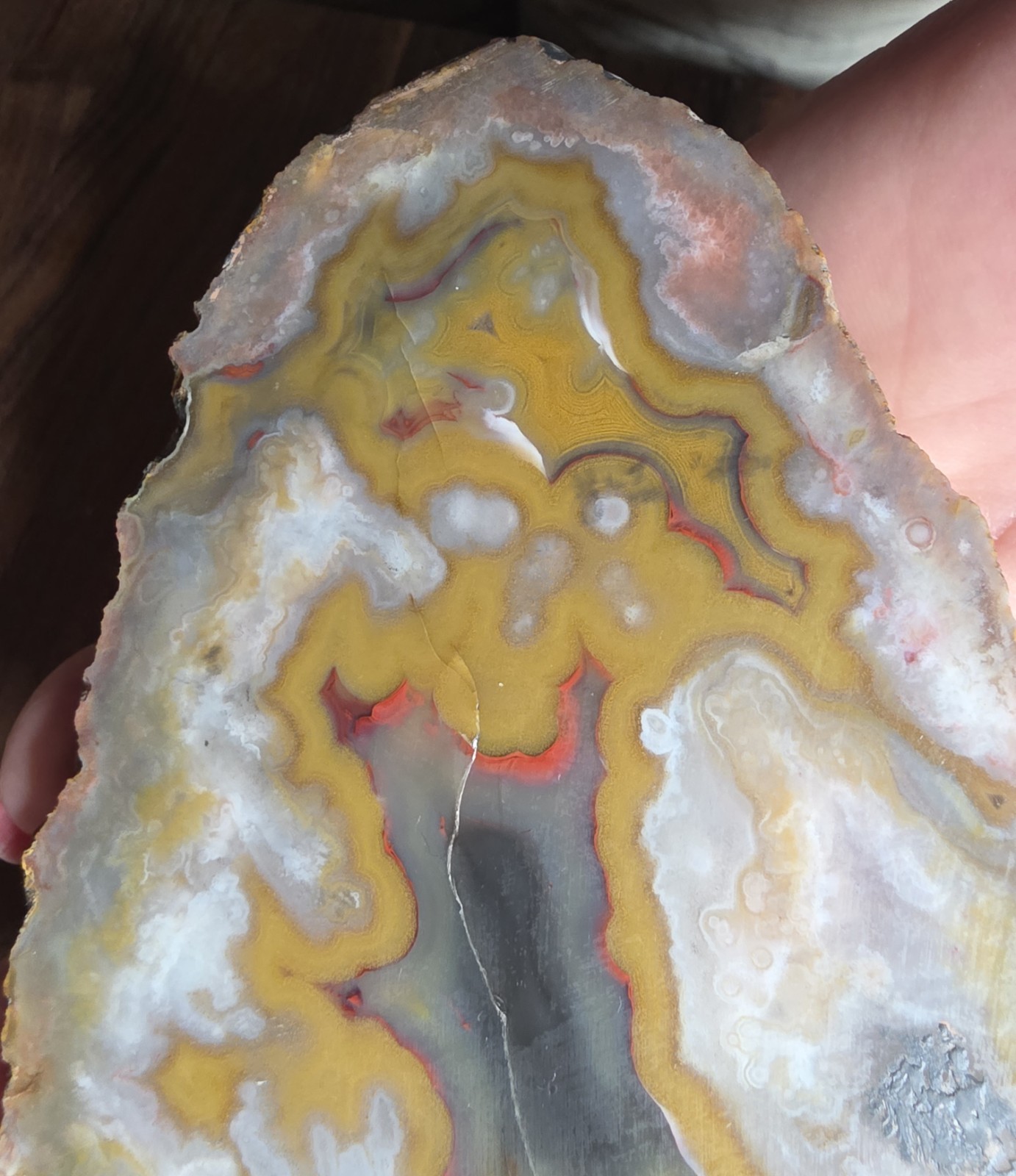 Beautiful Kentucky Agate Slab-Black, red, yellow with polished face #S-70