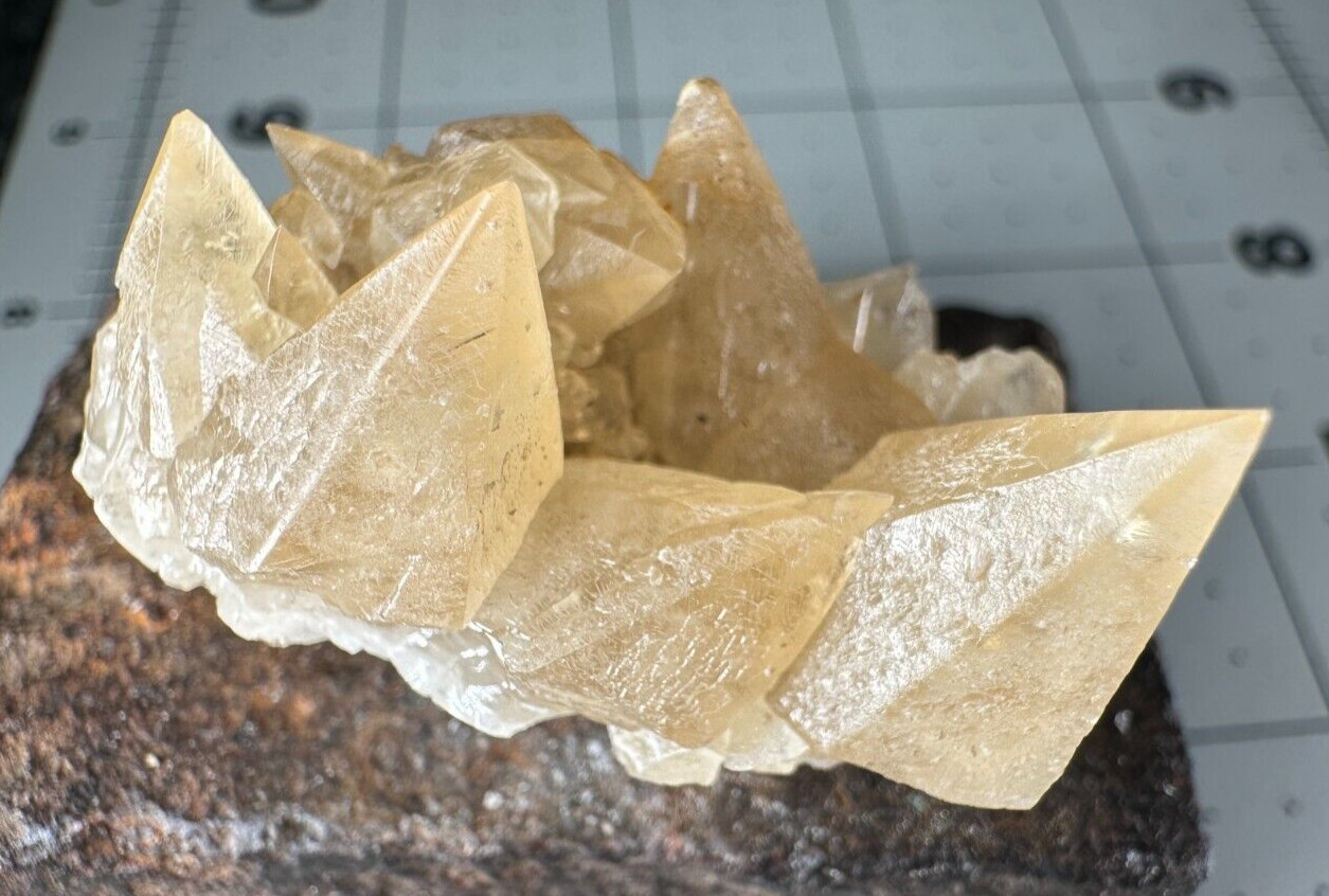 ➤ 1-1/2″ CALCITE CRYSTAL CLUSTER SPECIMEN – Pugh Quarry Ohio VIDEO➤893