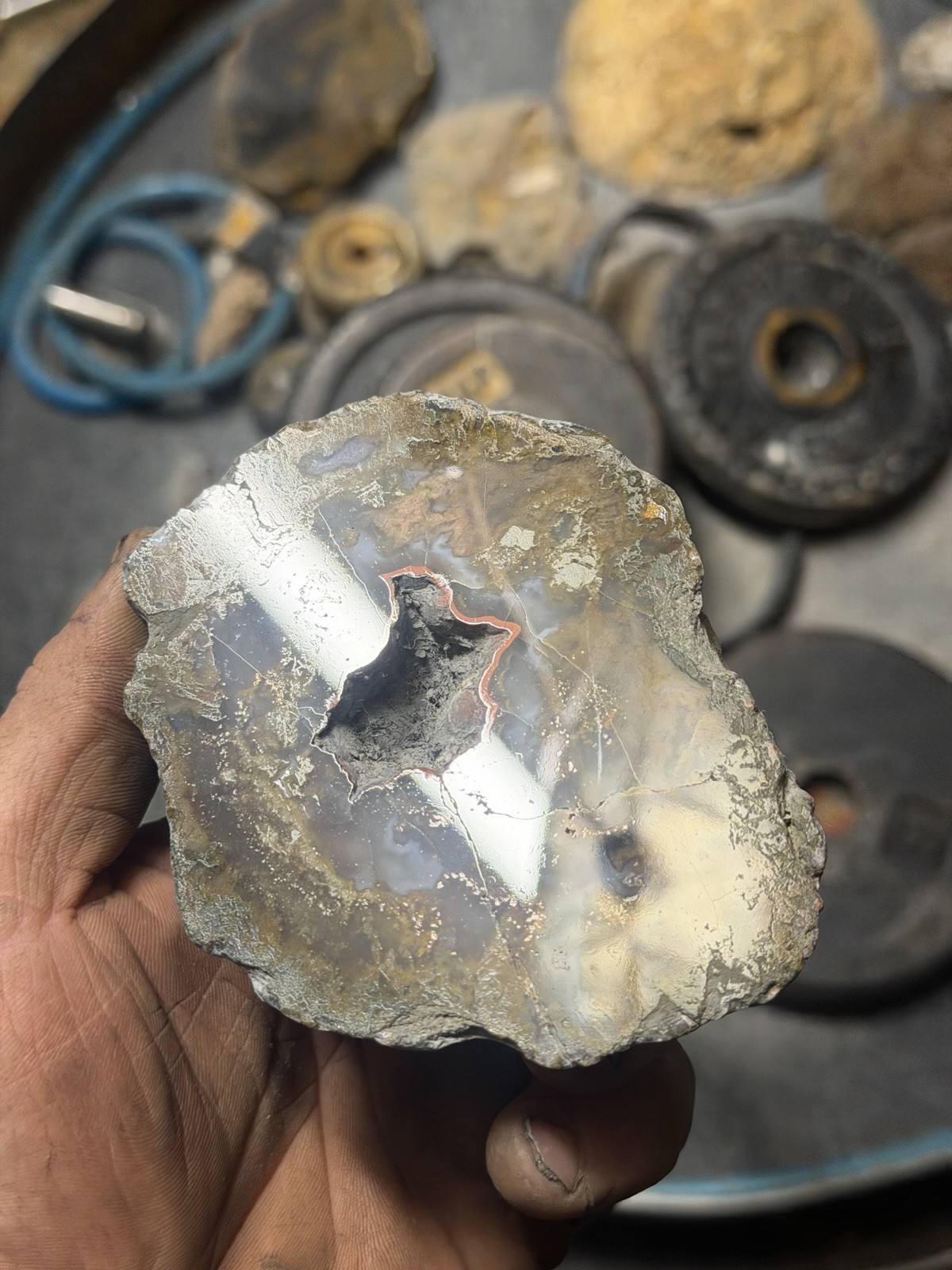 Rare Kentucky Agate Red Yellow Blue | Mirror Polished Half Estill County KY