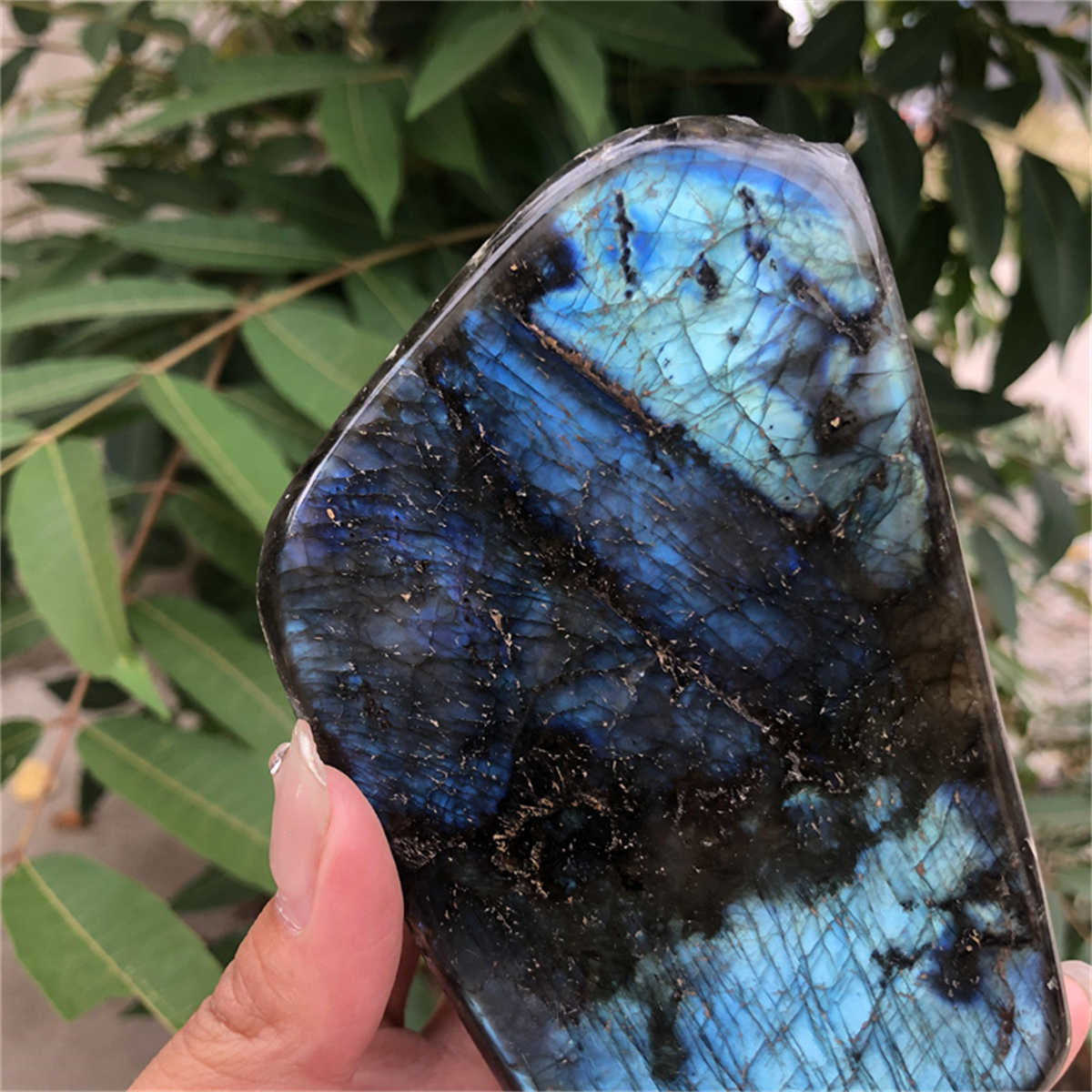 840g Natural Labradorite Mineral Quartz Crystal Mineral Reiki healing