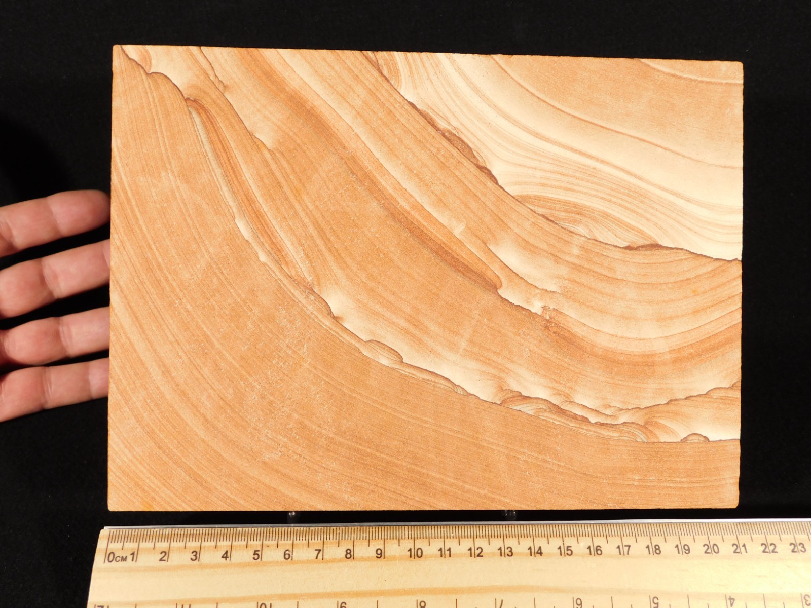 wOw! LARGER PICTURE Stone or SANDSTONE Slice/Slab with Display Stand Utah 541gr