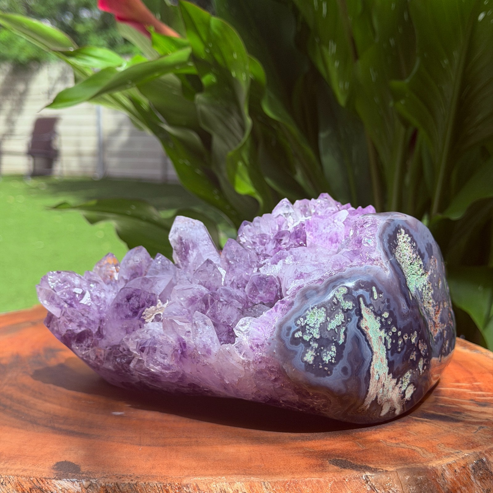 Massive Museum Grade Amethyst Geode Specimen 3.49kg Serra do Sol Brazil