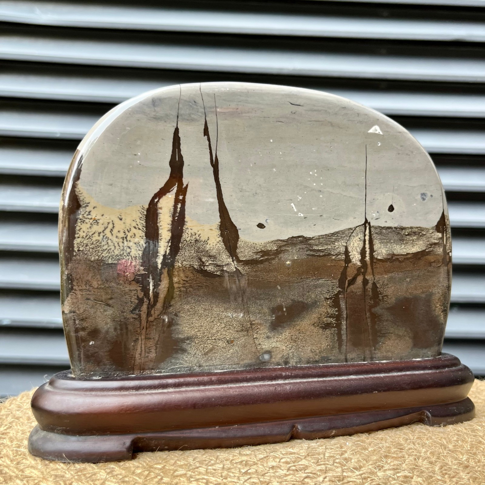 Polished Scenic Stone Natural Pattern Display Art Home Decor 4.7 lb