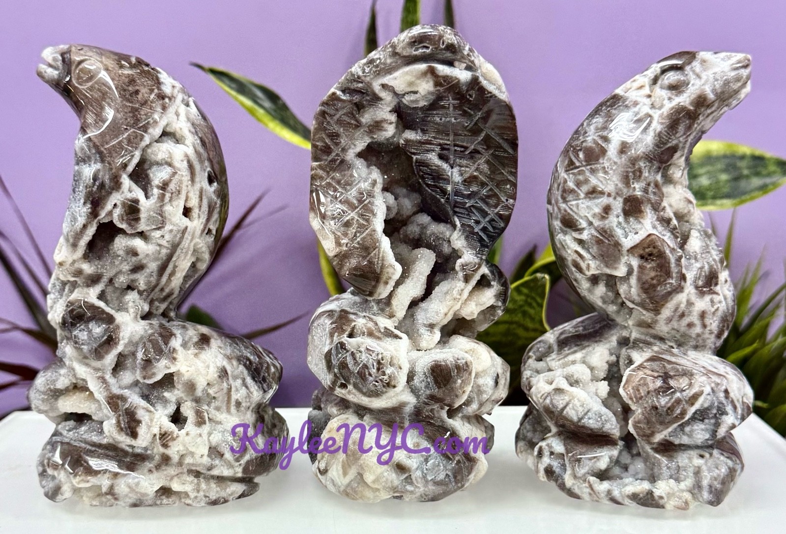 Wholesale Lot 3 Pcs Natural Sphalerite Cobra Snakes Crystal Healing Energy