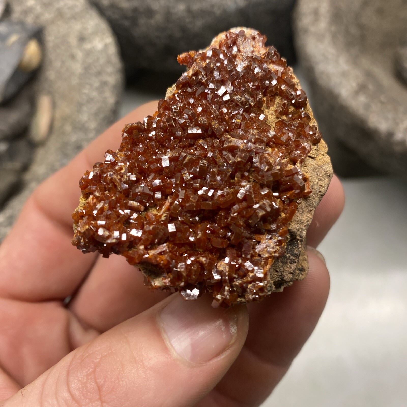 MLC 2 1/8 66g Red VANADINITE Crystals on Matrix Rock Mibladen, Morocco Mineral 2