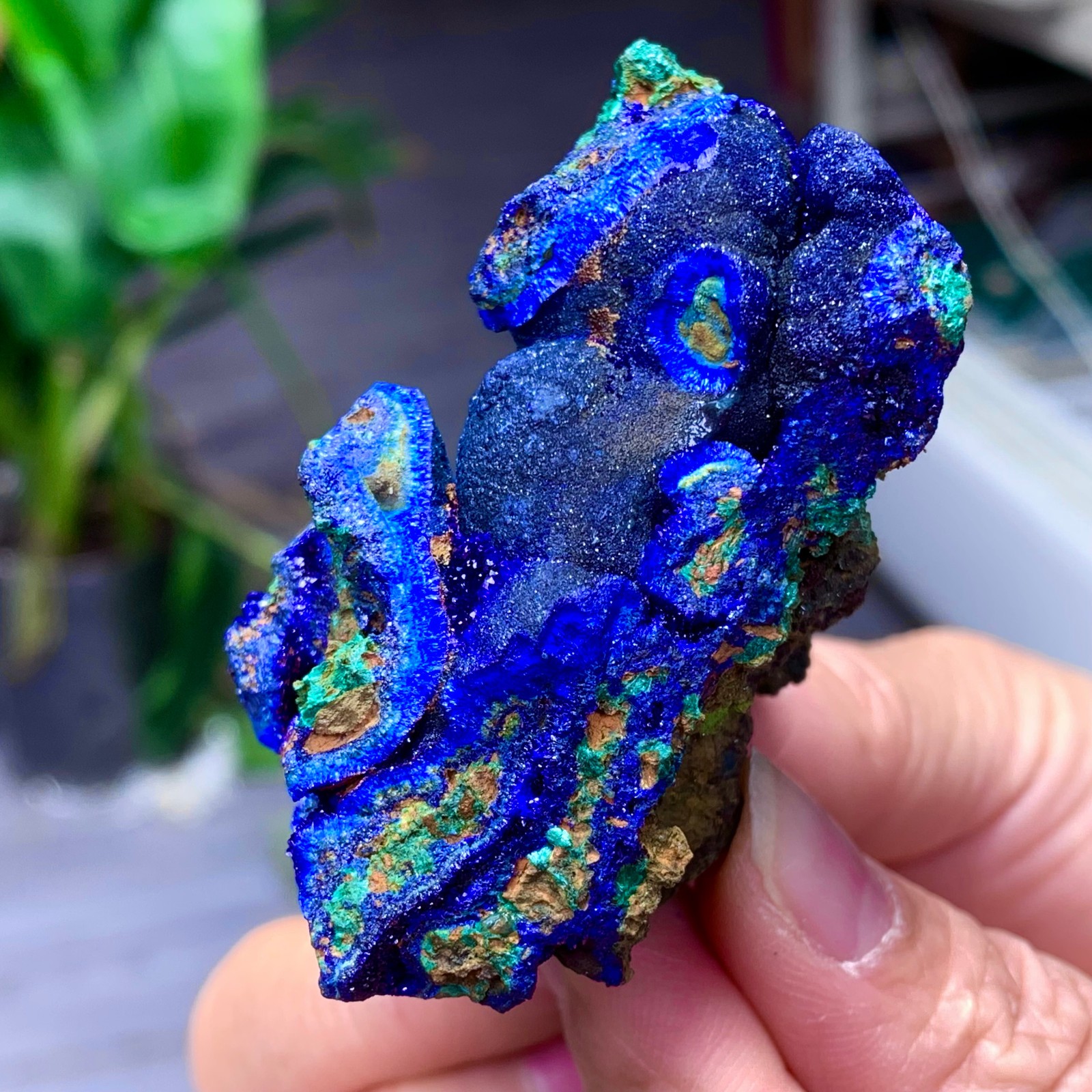 102G BEST Natural Azurite/Malachite crystal minerals specimens