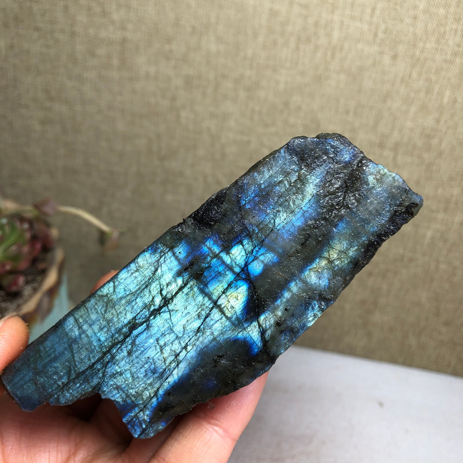 92-34-36mm Natural Labradorite Crystal gemstone Rough Mineral Specimen A4418