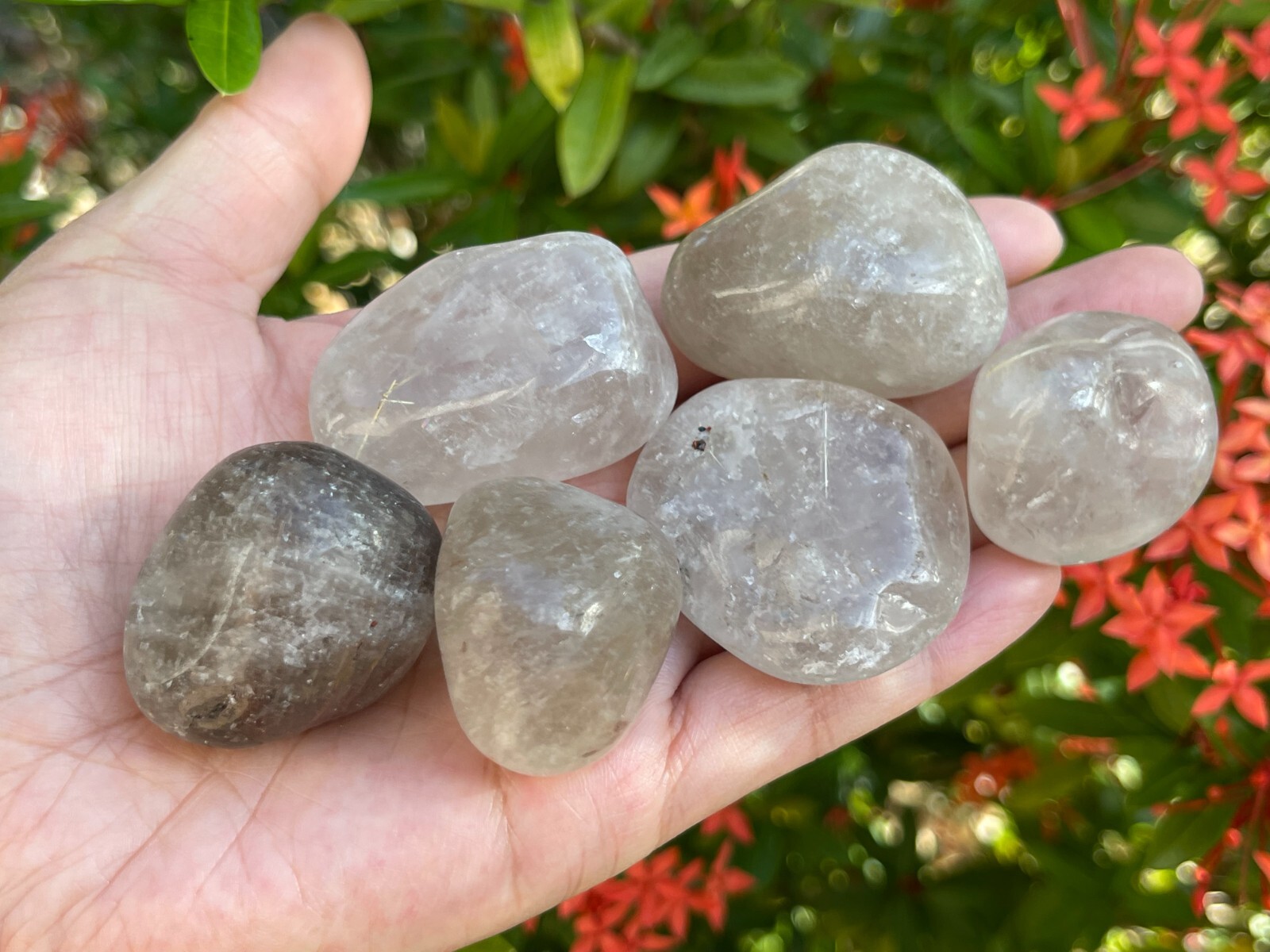 Smoky Quartz Pebble, 1-2 Inches Large Tumbled Smoky Quartz, Pick How Many
