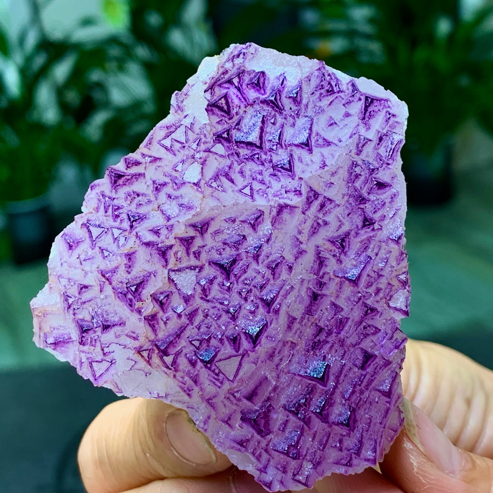 153G Natural fluorite purple edged cubic crystal mineral sample
