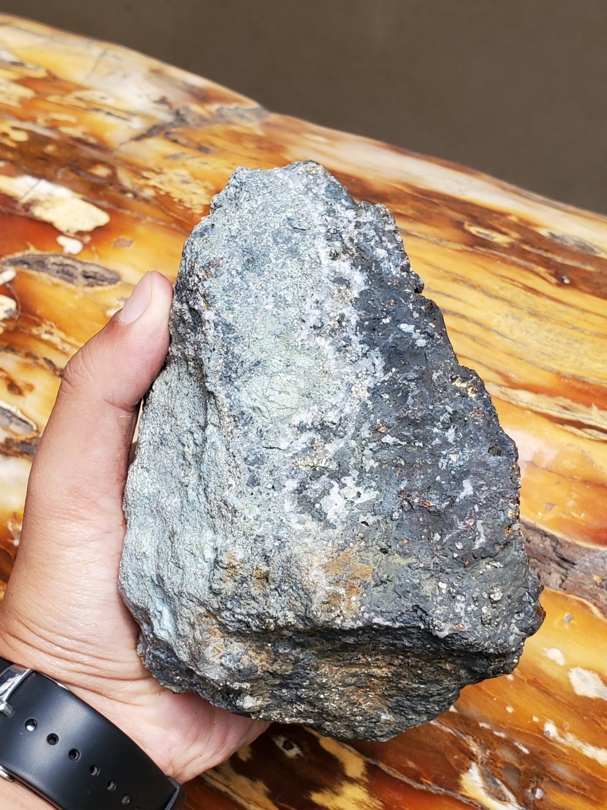 1469G Top Raw Sphalarite ,Chalcopyrite Peacock Partly Polished Specimen