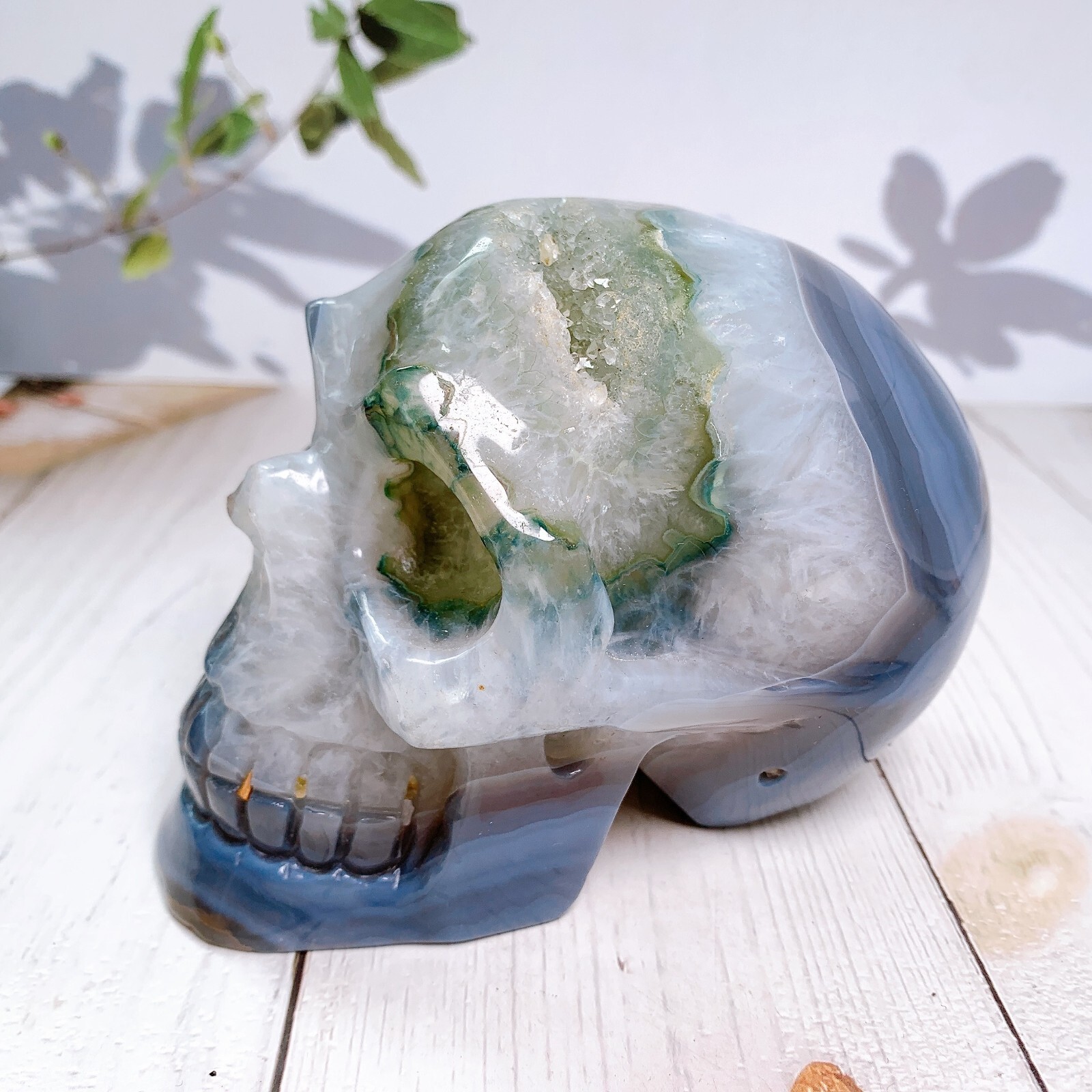 1pc Natural crystal skull Geode agate skulls carving Healing Home decoration