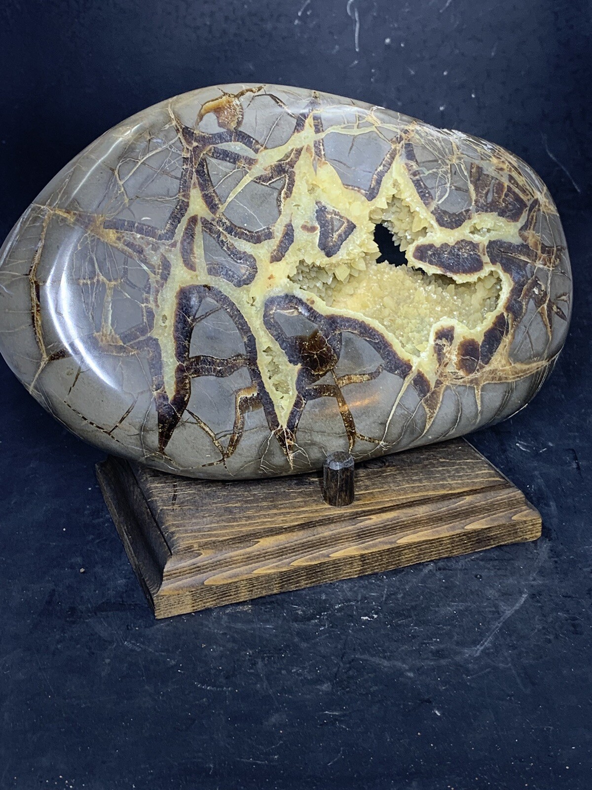 Septarian Nodule Hollow Slab,Dragon Stone ( Utah ) Stand And Description Card