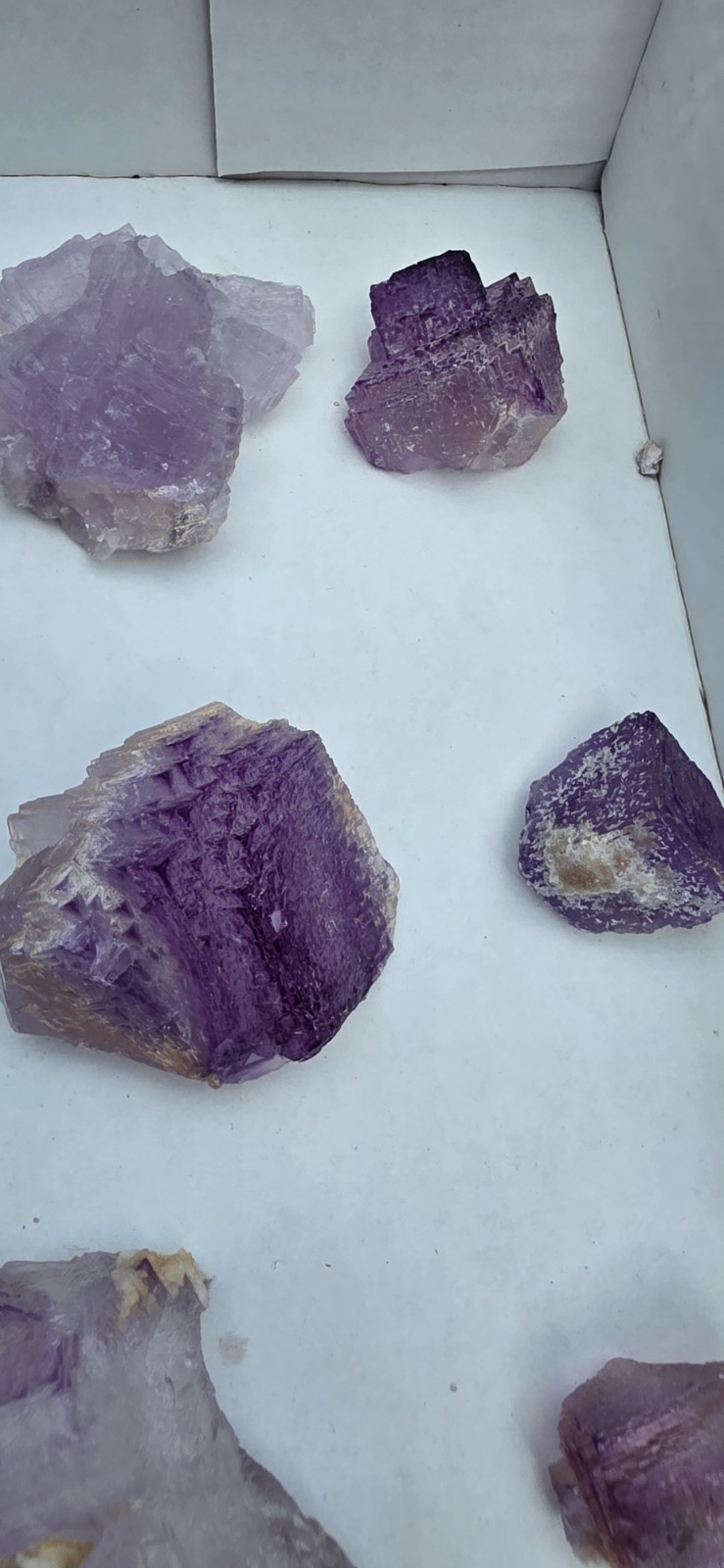 💜Navidad Mine Purple Fluorite Collection Flat💜