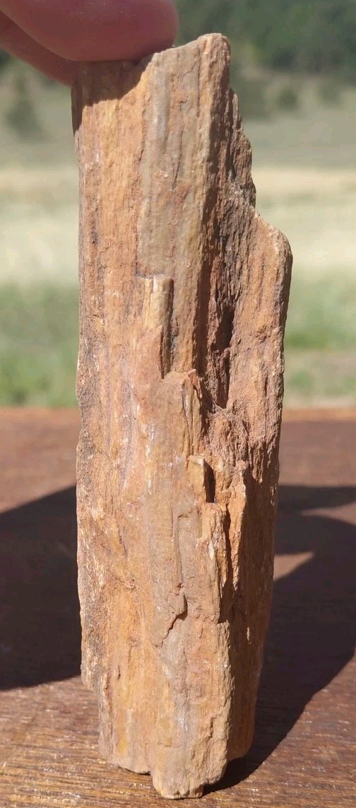 Petrified Wood Fossilized Twisted Branch Bark Druzy Quartz 1/4Lb – 4 1/2″×1 1/4″
