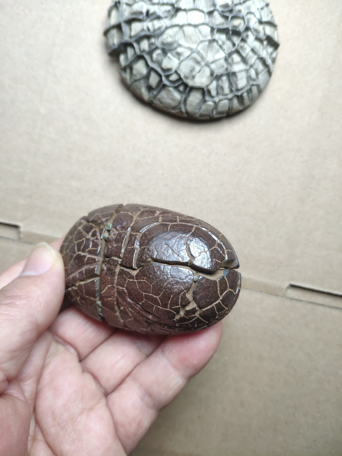182g beautiful tortoise back pattern stone Turtle grain stone Landscape stone