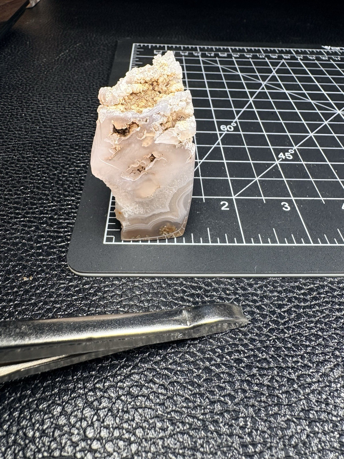 Oregon Moss Agate Free Form Polished Collector Specimen Display Foot Cut Unique