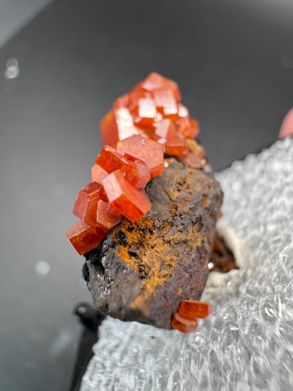 6786 Red Vanadinite on RARE Black Hematite Matrix in Perky Morocco