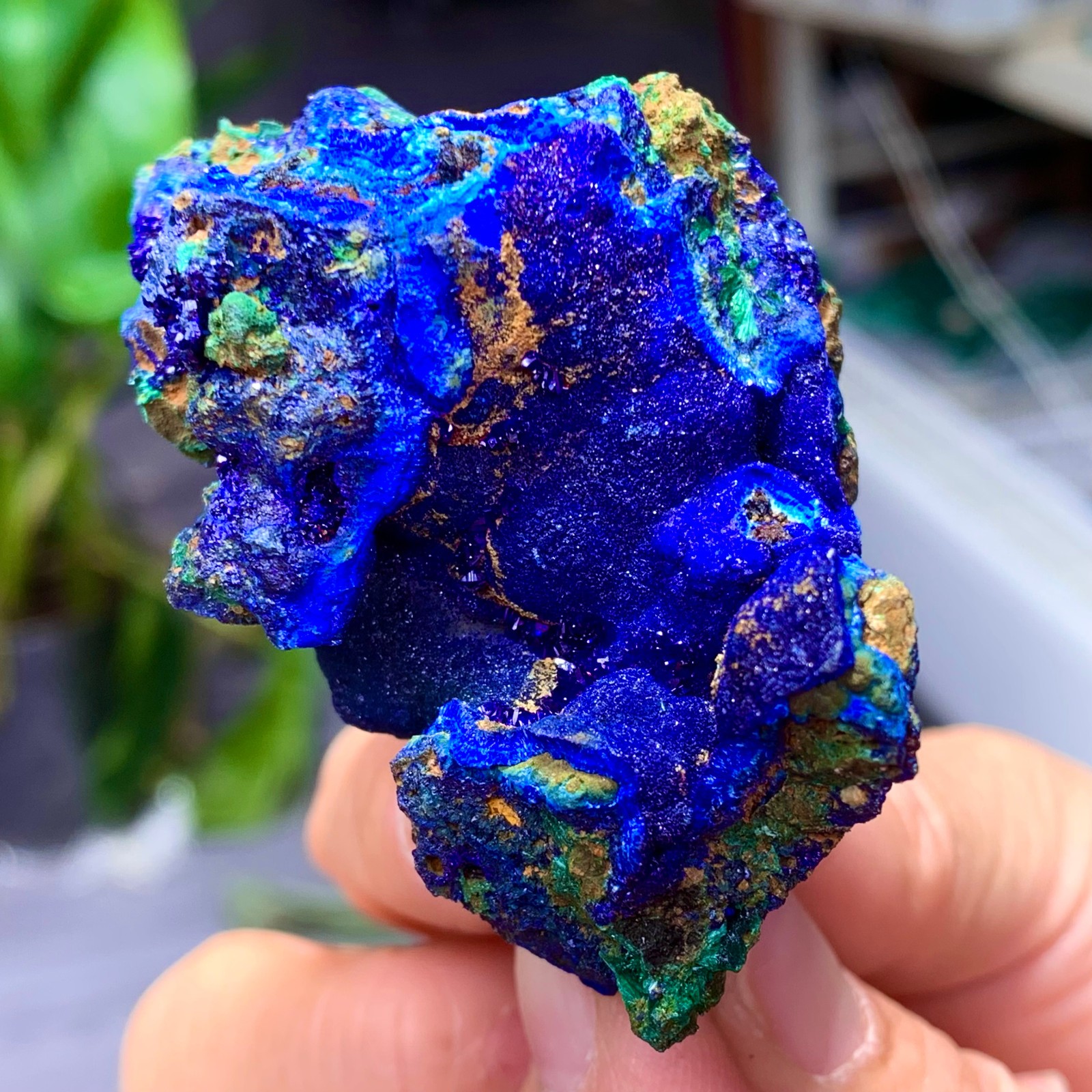 102G BEST Natural Azurite/Malachite crystal minerals specimens