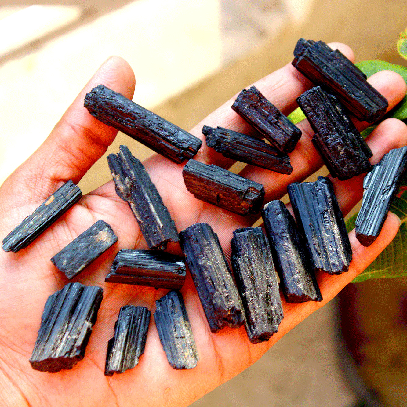 10 Pcs Natural Black Tourmaline Raw Crystal Points Healing Mineral Specimen